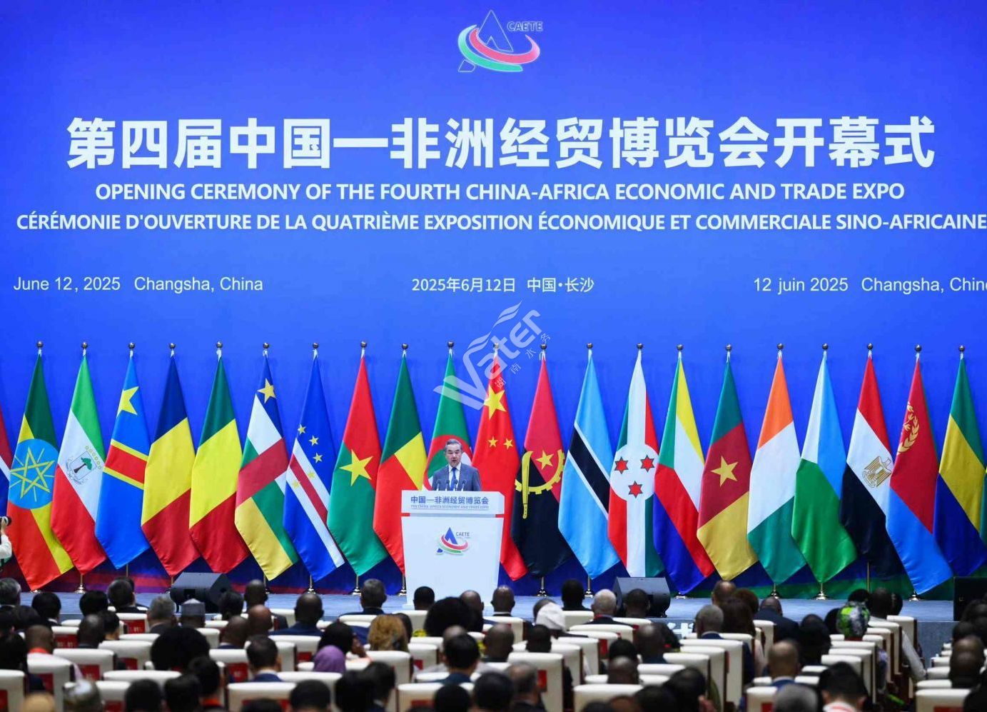 第四屆中國-非洲經(jīng)貿(mào)博覽會(huì)在長沙舉行